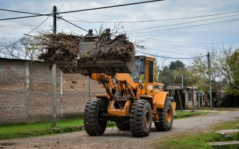 Recolección de ramas en Escobar: cronograma para esta semana