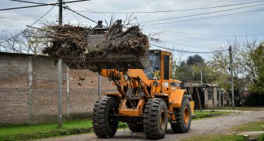 Recolección de ramas en Escobar: cronograma para esta semana