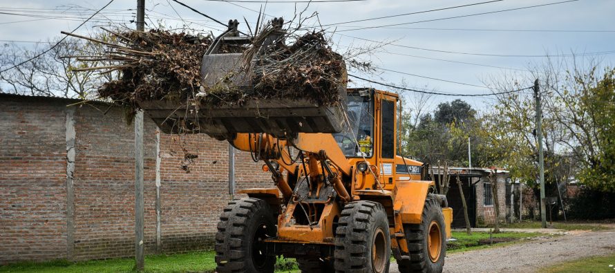 Recolección de ramas en Escobar: cronograma para esta semana