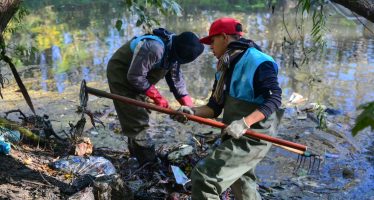 Trabajos de limpieza profunda del arroyo Escobar