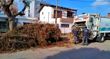 Escobar: cronograma del Sistema de Recolección de Ramas para esta semana