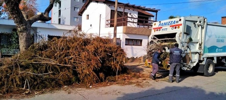 Escobar: cronograma del Sistema de Recolección de Ramas para esta semana