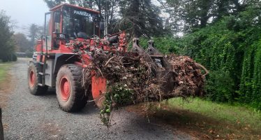 Cronograma de recolección de ramas en Escobar para esta semana