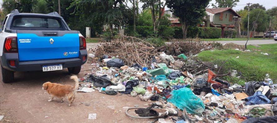 Cronograma semanal de recolección de ramas y podas en Escobar