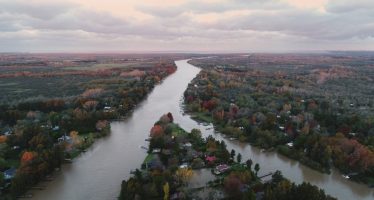 Tigre celebra el Día Mundial del Ambiente