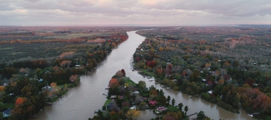 Tigre celebra el Día Mundial del Ambiente