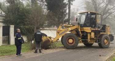 Escobar: cronograma del sistema municipal de recolección de ramas para esta semanal