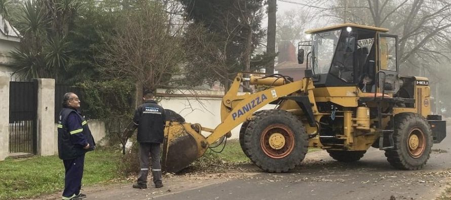 Escobar: cronograma del sistema municipal de recolección de ramas para esta semanal