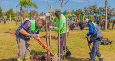 San Fernando: jornada de forestación en el Día Nacional del Árbol