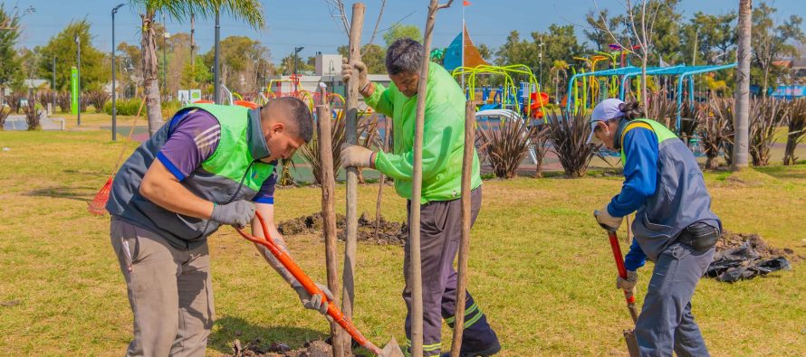 San Fernando: jornada de forestación en el Día Nacional del Árbol