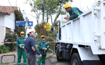 Comenzó el Plan Integral de Arbolado en San Isidro