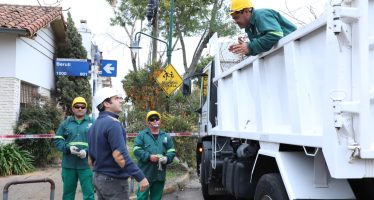 Comenzó el Plan Integral de Arbolado en San Isidro