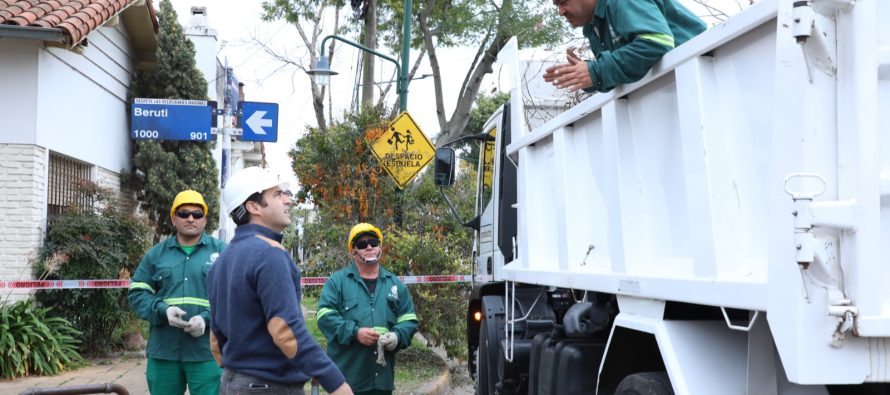 Comenzó el Plan Integral de Arbolado en San Isidro