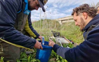 El COMIREC realizó nuevos estudios de calidad ambiental