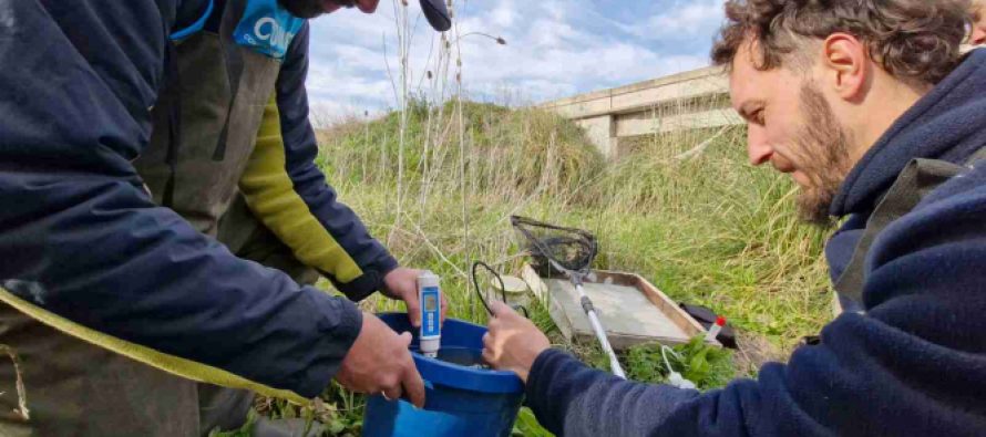 El COMIREC realizó nuevos estudios de calidad ambiental