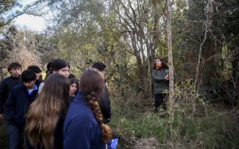 Escobar Sostenible abre un espacio para jóvenes comprometidos con el ambiente