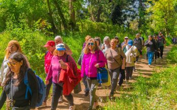 San Fernando: Adultos mayores de los polideportivos visitan el EcoParque