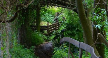 Reserva Ecológica: un oasis verde en la costa de Vicente López