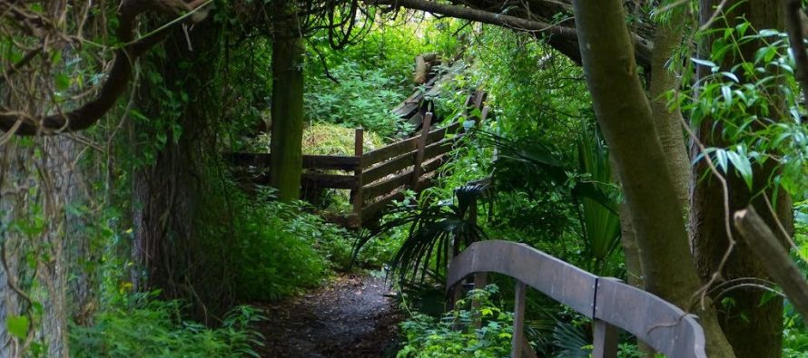 Reserva Ecológica: un oasis verde en la costa de Vicente López