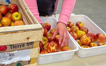 San Fernando entrega frutas a estudiantes secundarios de escuelas públicas