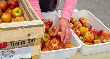 San Fernando entrega frutas a estudiantes secundarios de escuelas públicas