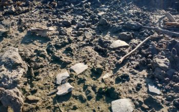 San Pedro: encuentran un importante yacimiento arqueológico en el delta del río Paraná