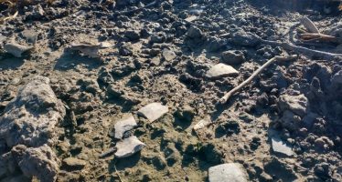 San Pedro: encuentran un importante yacimiento arqueológico en el delta del río Paraná