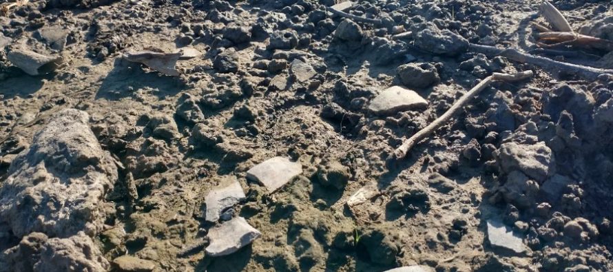 San Pedro: encuentran un importante yacimiento arqueológico en el delta del río Paraná