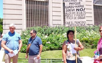 Tigre: ordenan la paralización de las obras en el barrio Soeva por “daño ambiental”