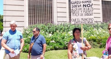 Tigre: ordenan la paralización de las obras en el barrio Soeva por “daño ambiental”