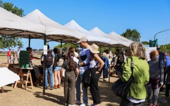 Vivamos Diversidad: una nueva edición de la feria que promueve el respeto en Vicente López