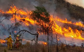 Condenaron a un hombre por provocar un incendio forestal en Córdoba