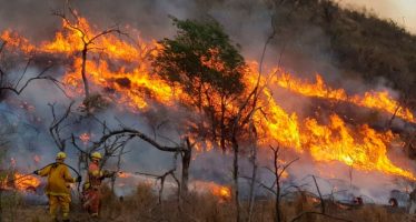 Condenaron a un hombre por provocar un incendio forestal en Córdoba