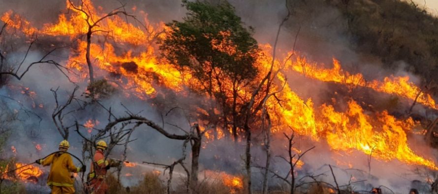 Condenaron a un hombre por provocar un incendio forestal en Córdoba