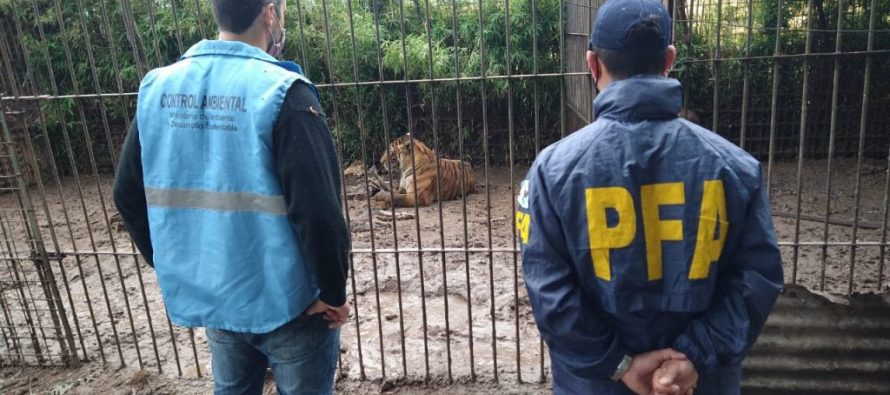 Mar del Plata: piden juicio oral para un hombre por el almacenamiento de 319 ejemplares de animales silvestres