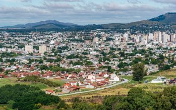 Gestión digital del arbolado urbano: un proyecto piloto para ciudades más verdes