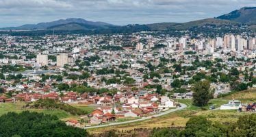 Gestión digital del arbolado urbano: un proyecto piloto para ciudades más verdes