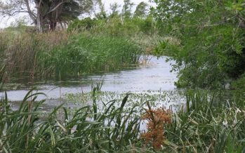 Grave denuncia contra el juez que investiga la causa de Naudir Delta en Escobar