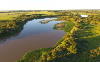 Hidrovía: inexistencia de estudios de impacto ambiental entre las irregularidades de la licitación