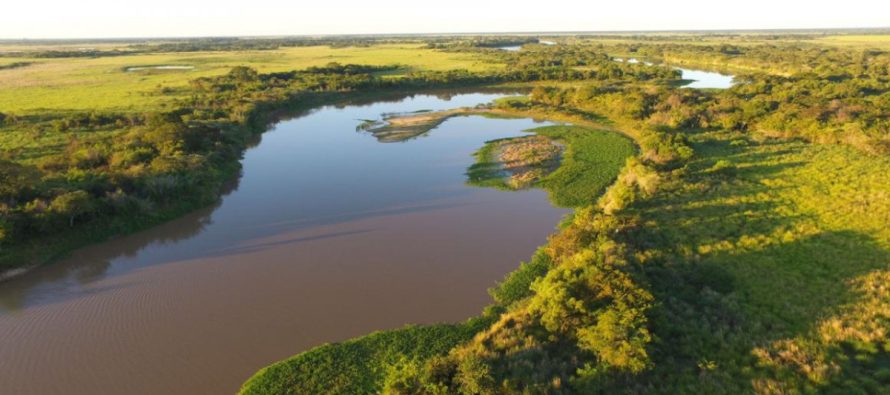 Hidrovía: inexistencia de estudios de impacto ambiental entre las irregularidades de la licitación