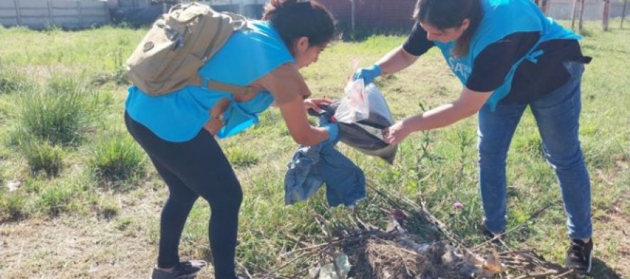 Dengue: descacharrado en Vicente López y San Fernando