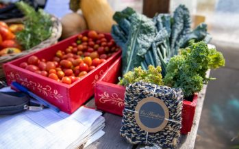 Comienza la Feria de los Huerteros de San Isidro con productos frescos y saludables