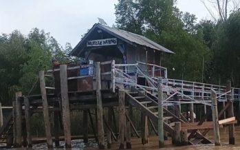 Vecinos del Delta de Tigre convocan a una ‘Caravana de botes’ por el estado de las costas