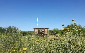 La Reserva Natural de Pilar ofrece visitas guiadas educativas