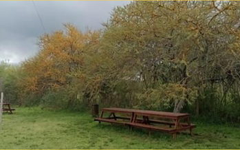 Ecoferia de productores locales en el Parque Nacional Ciervo de los Pantanos