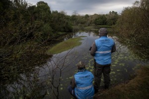 Brigada ambiental