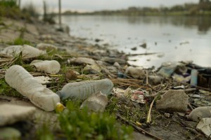 Limpieza Pista Nacional de Remo