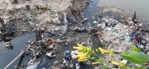 Desagüe de la ciudad de Paraná al Río Paraná | Foto: Martín Blettler