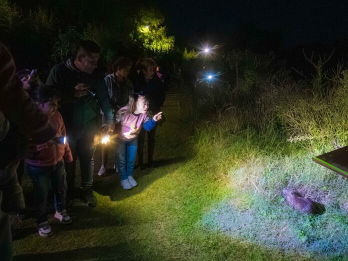 4 visita nocturna ecoparque san fernando abr2026