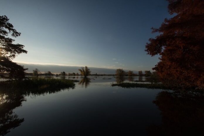 Río Paraná